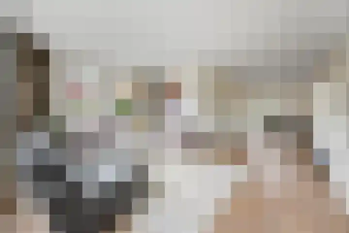 Zilveresdoorn 19 Cuijk thumbnail 4