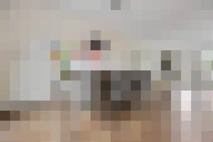 Zilveresdoorn 19 Cuijk thumbnail 5