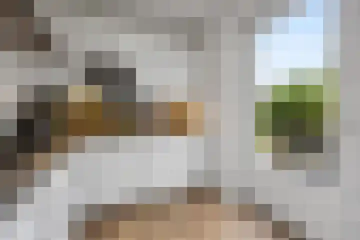 Zilveresdoorn 19 Cuijk thumbnail 7