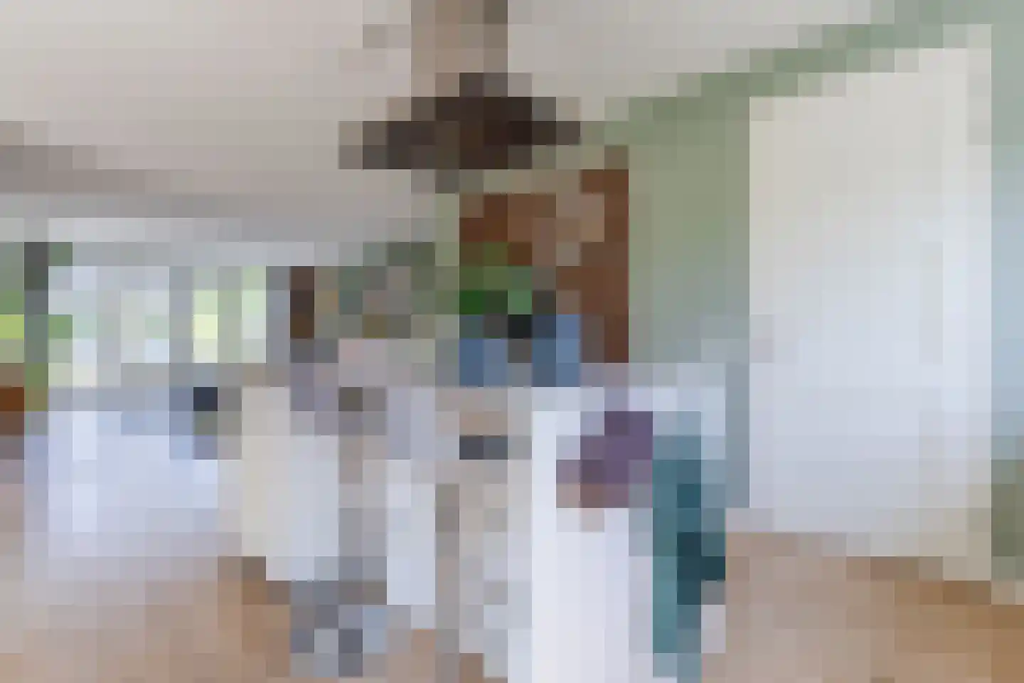 Zilveresdoorn 5 Cuijk thumbnail 15