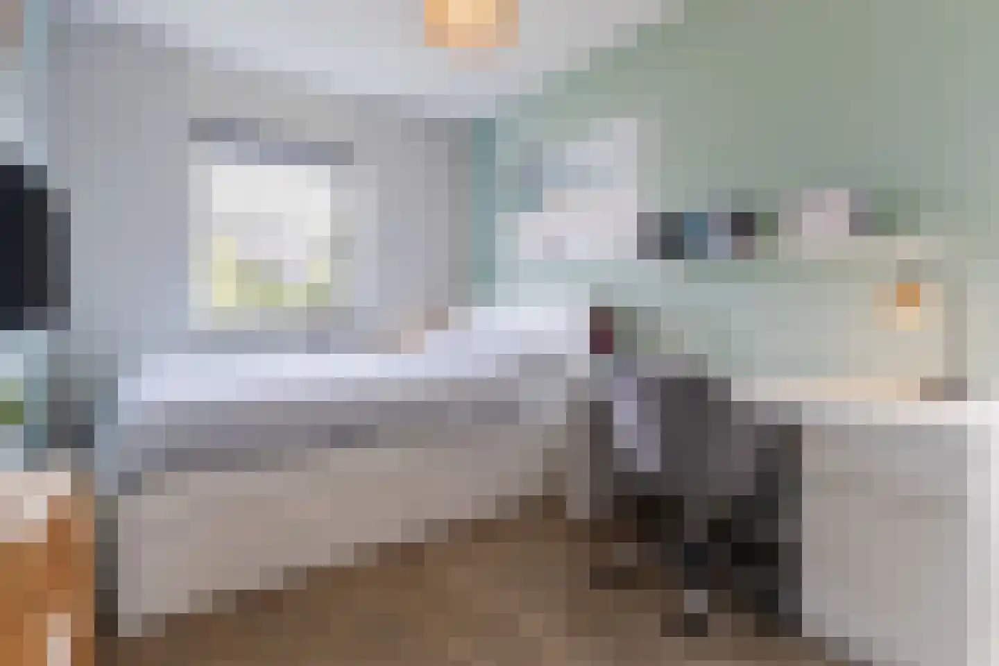 Zilveresdoorn 5 Cuijk thumbnail 17