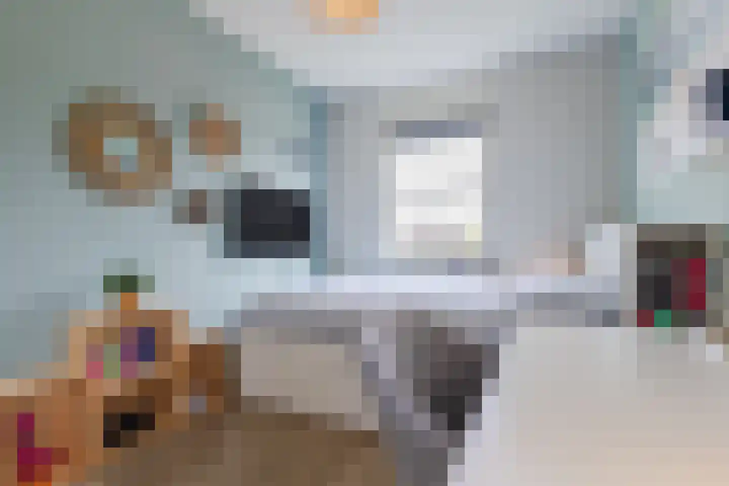 Zilveresdoorn 5 Cuijk thumbnail 18