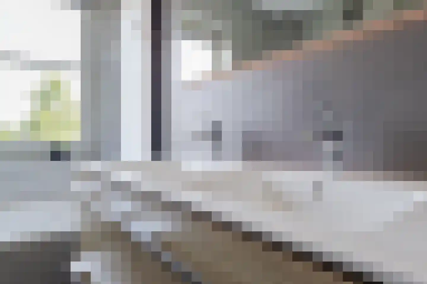 Zilveresdoorn 5 Cuijk thumbnail 25