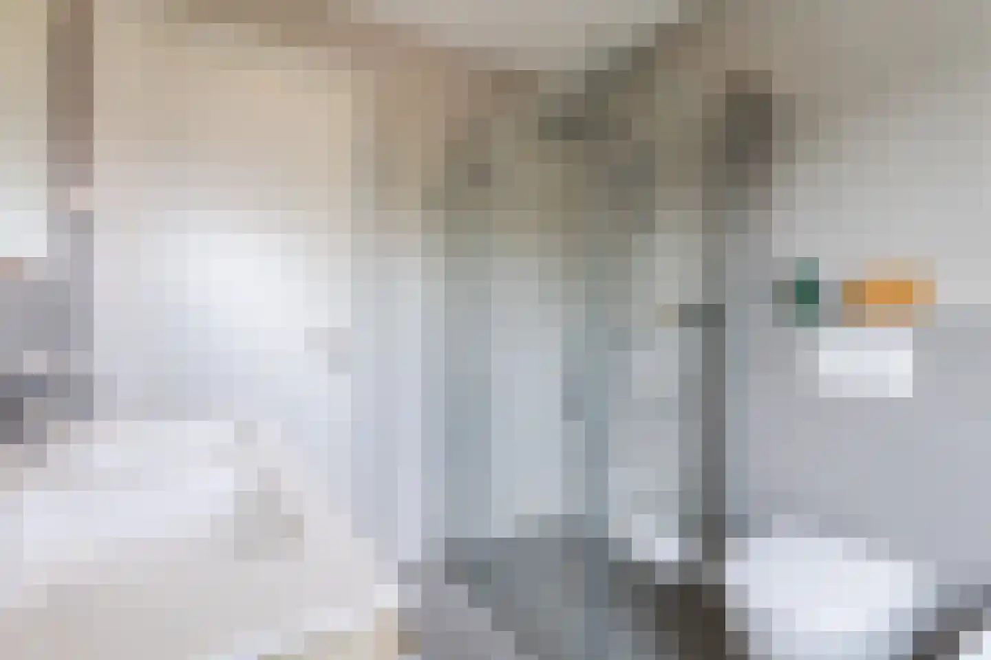 Zilveresdoorn 5 Cuijk thumbnail 26