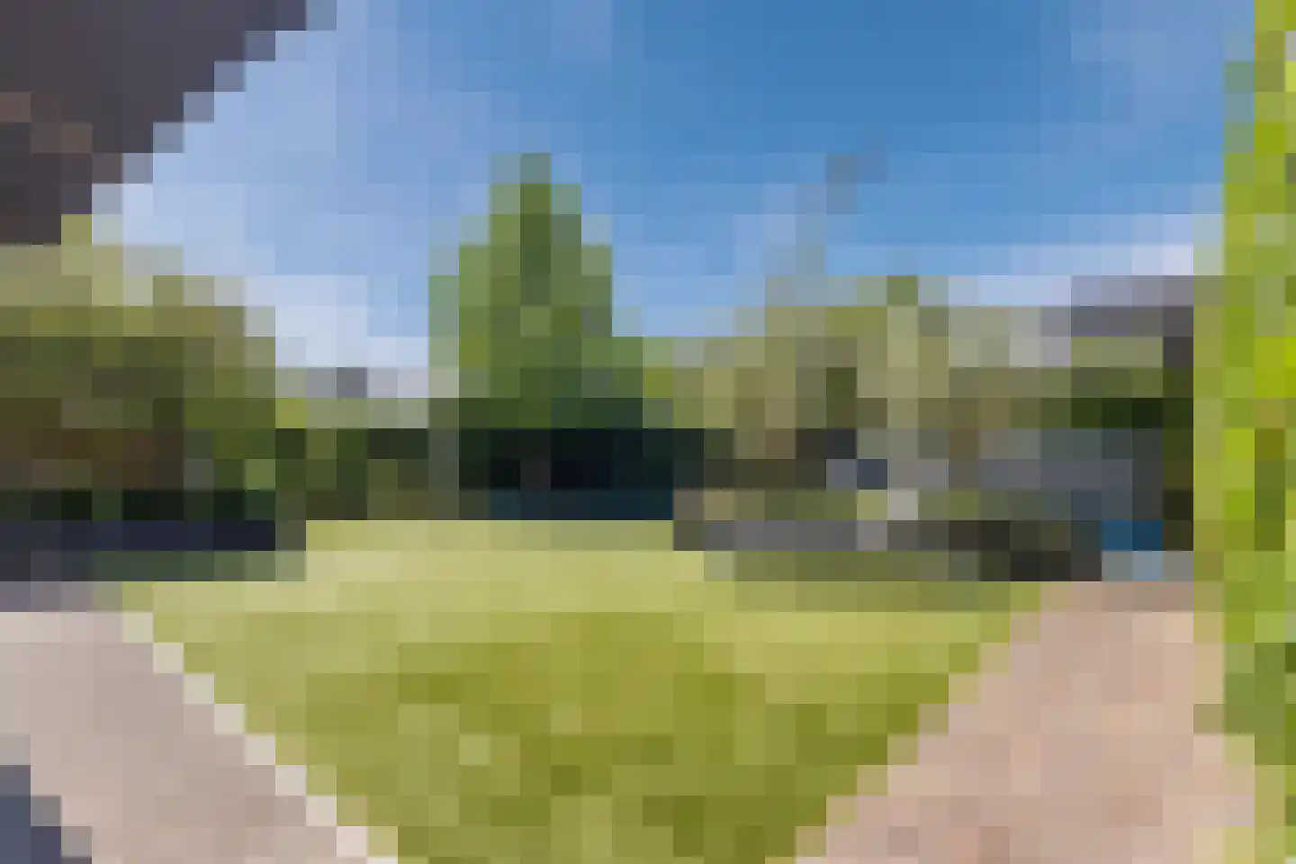 Zilveresdoorn 5 Cuijk thumbnail 34