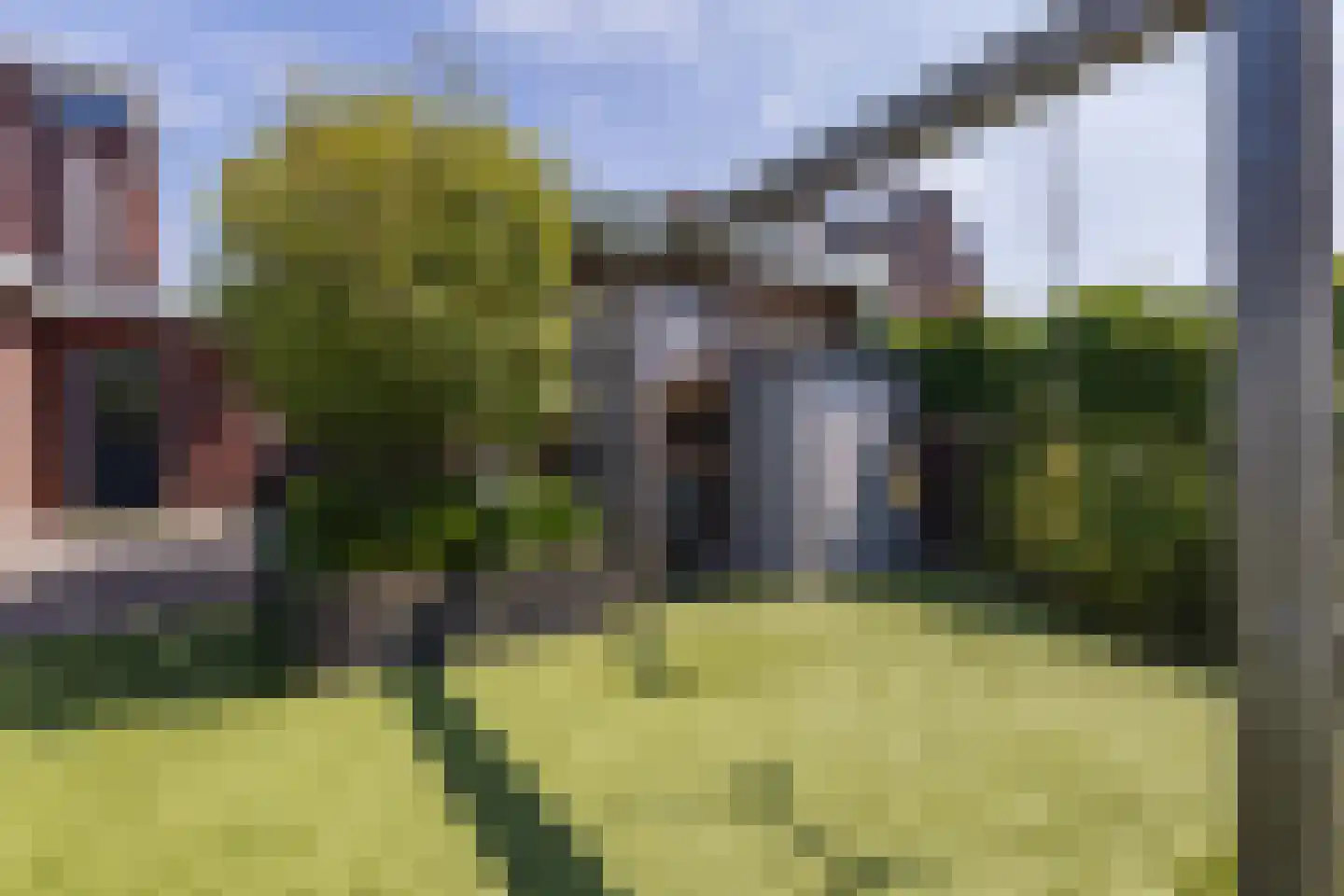 Zilveresdoorn 5 Cuijk thumbnail 37