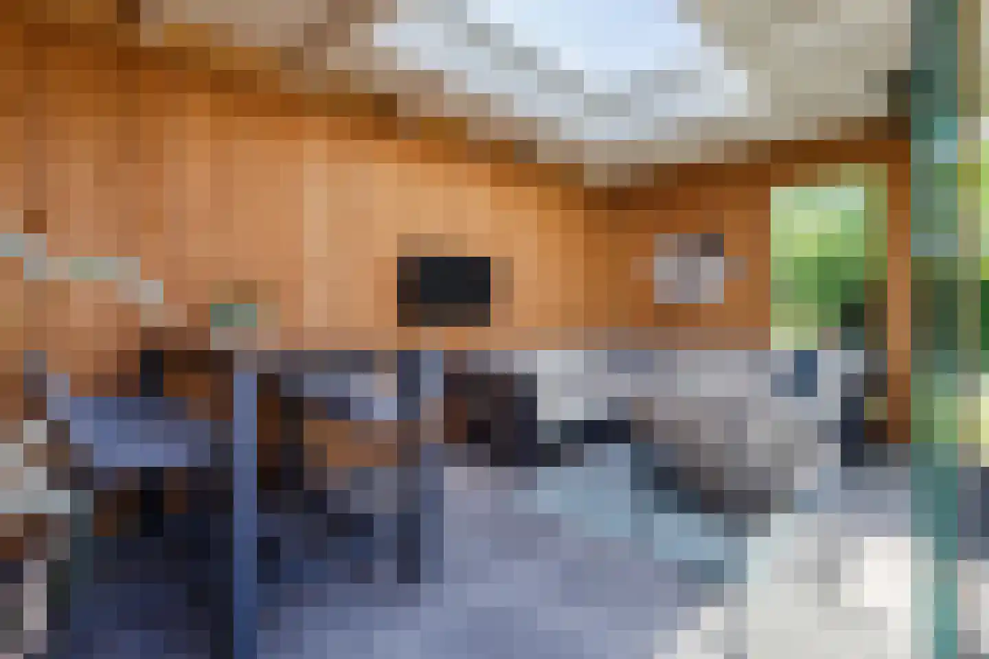 Zilveresdoorn 5 Cuijk thumbnail 38