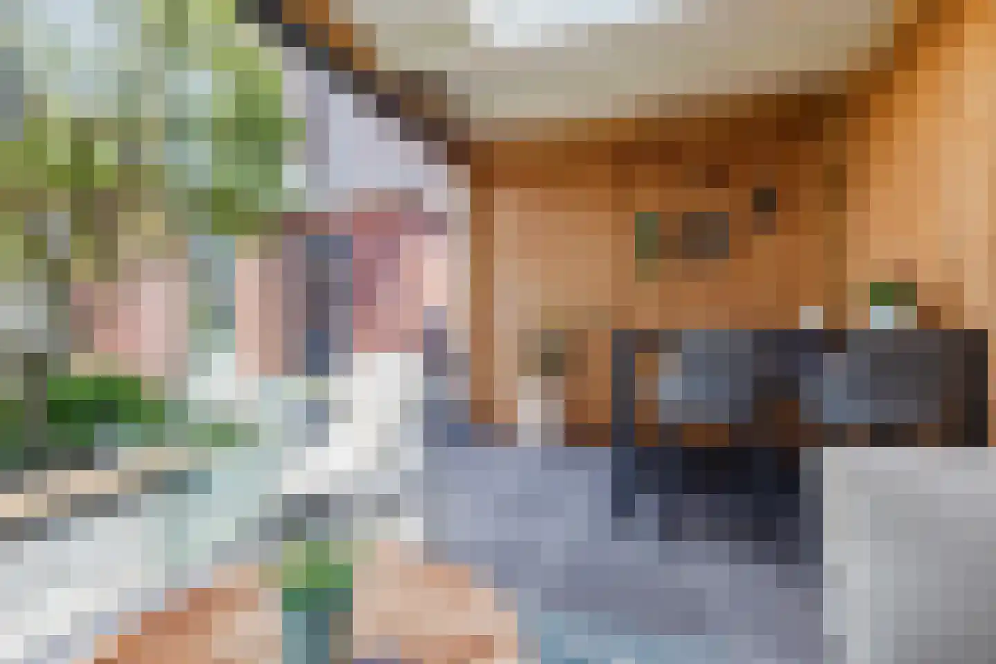 Zilveresdoorn 5 Cuijk thumbnail 39