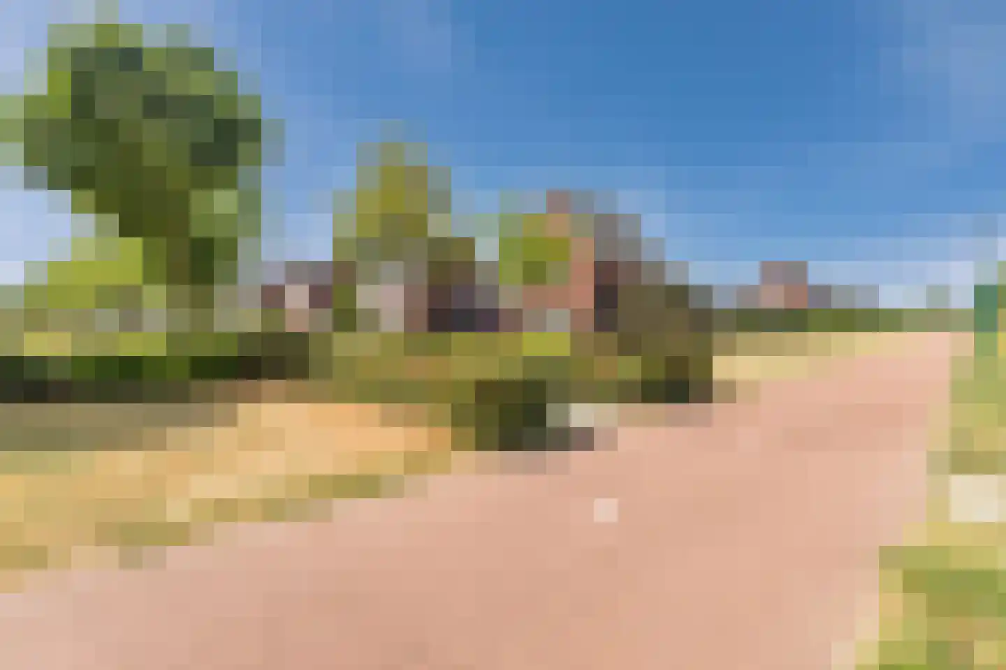 Zilveresdoorn 5 Cuijk thumbnail 42