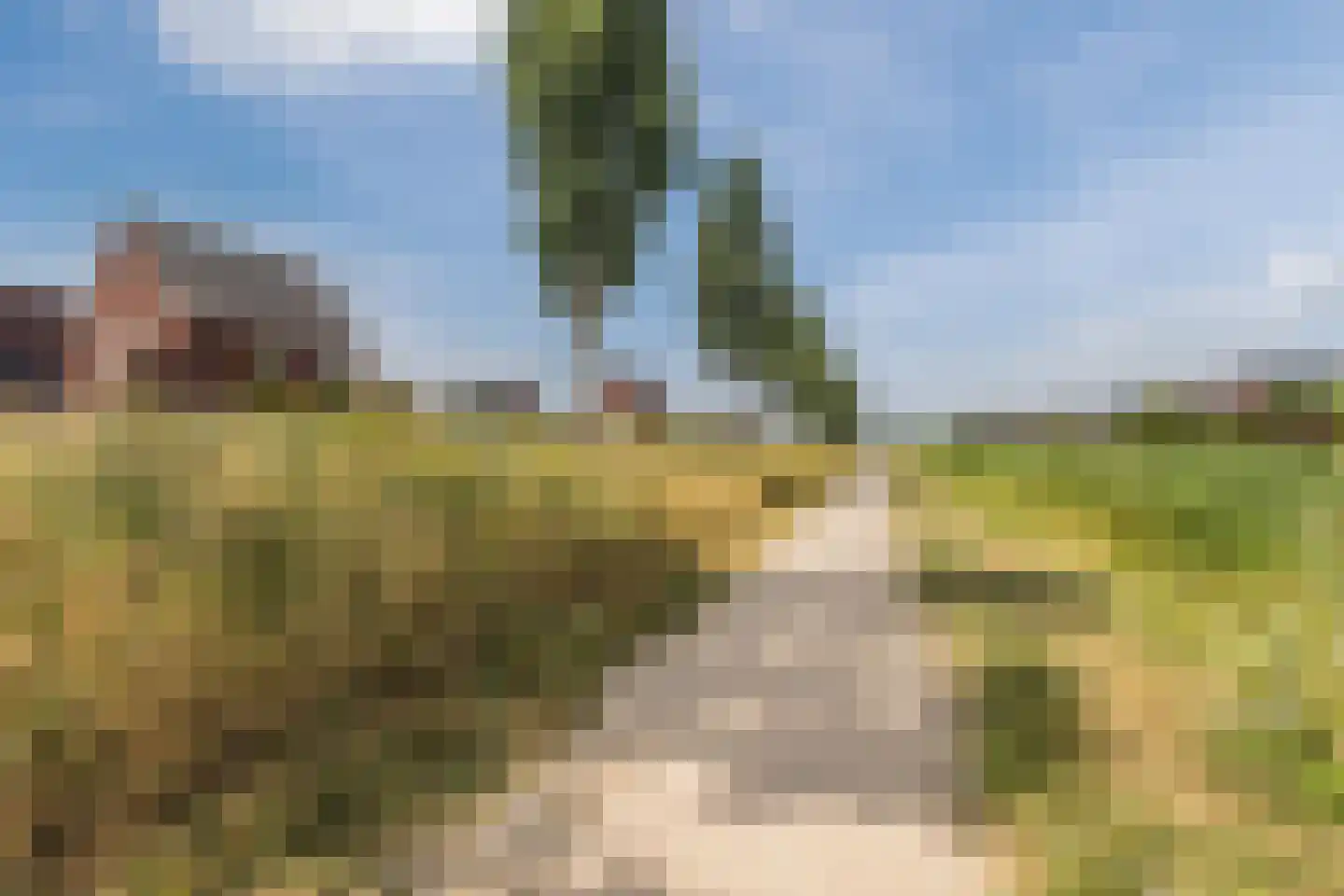 Zilveresdoorn 5 Cuijk thumbnail 43