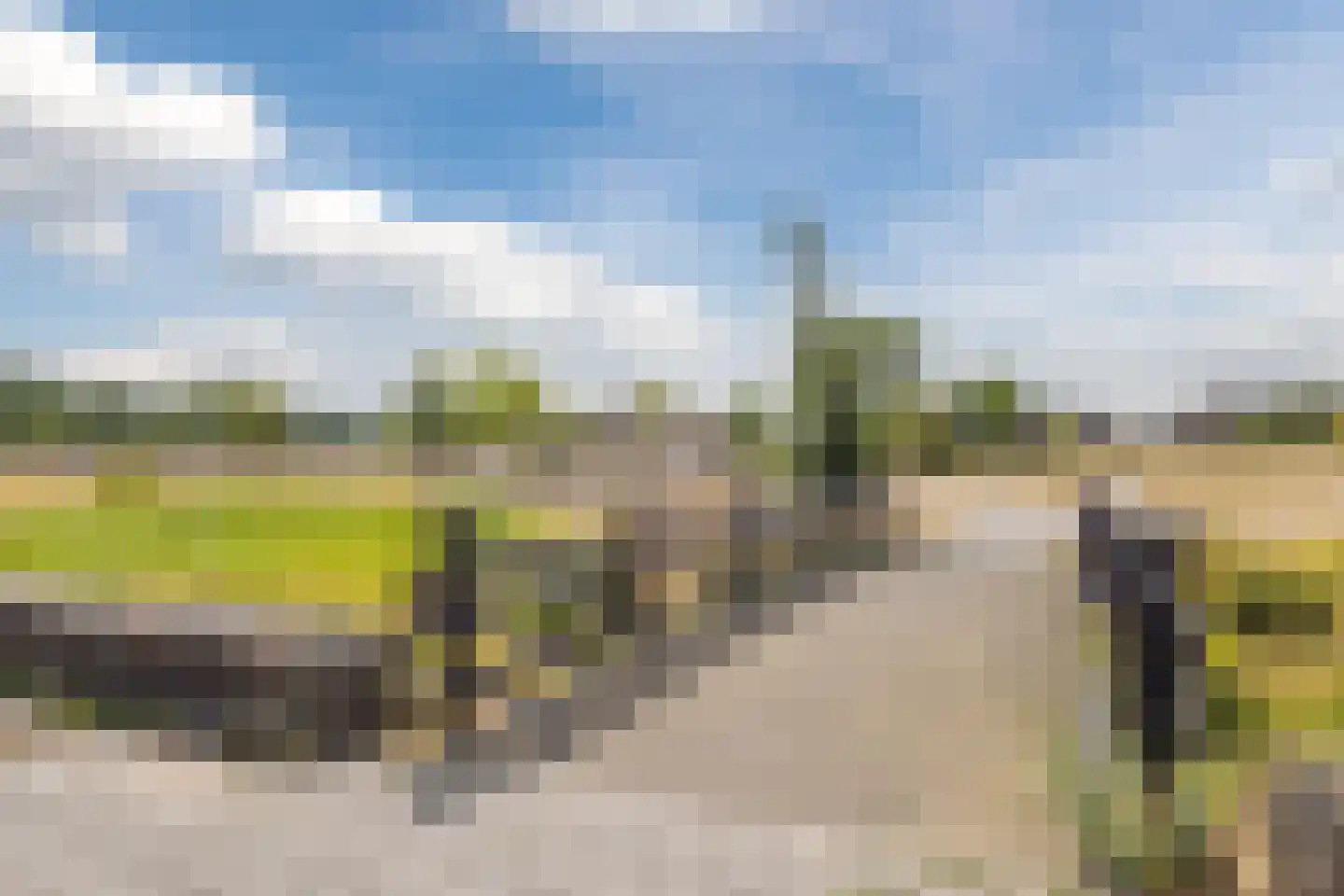 Zilveresdoorn 5 Cuijk thumbnail 44