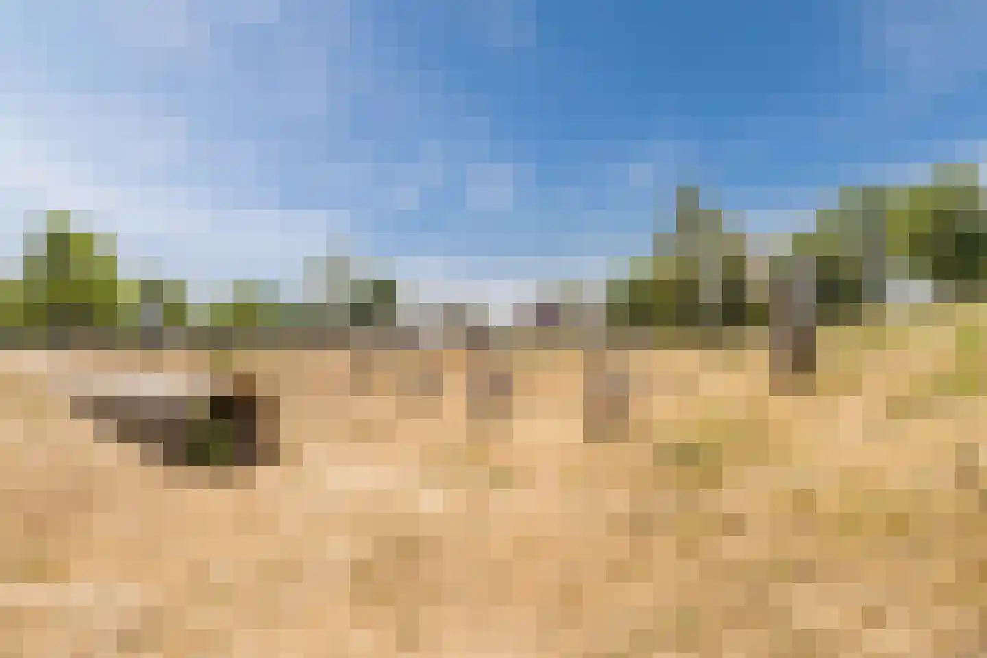 Zilveresdoorn 5 Cuijk thumbnail 45