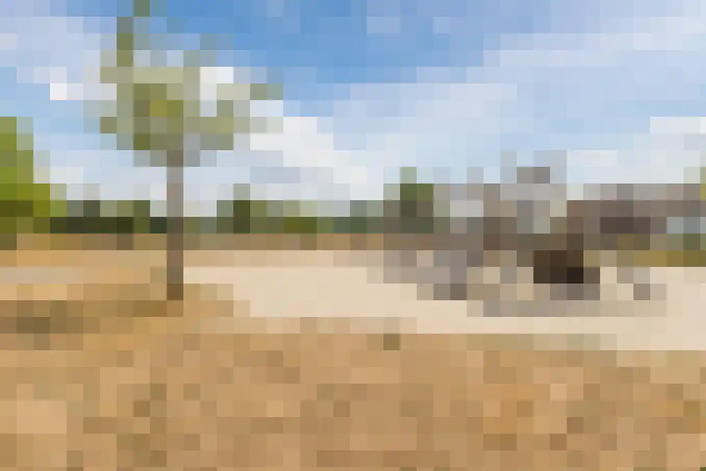 Zilveresdoorn 5 Cuijk thumbnail 46