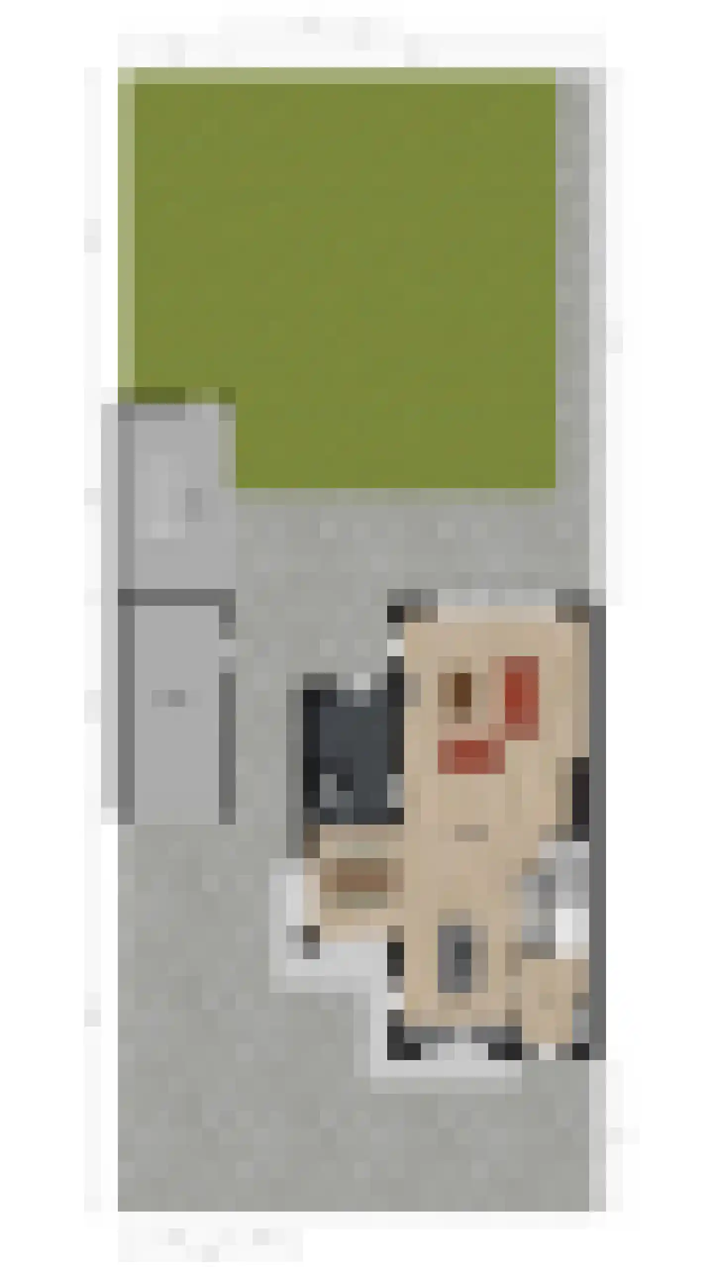 Zilveresdoorn 5 Cuijk thumbnail 49