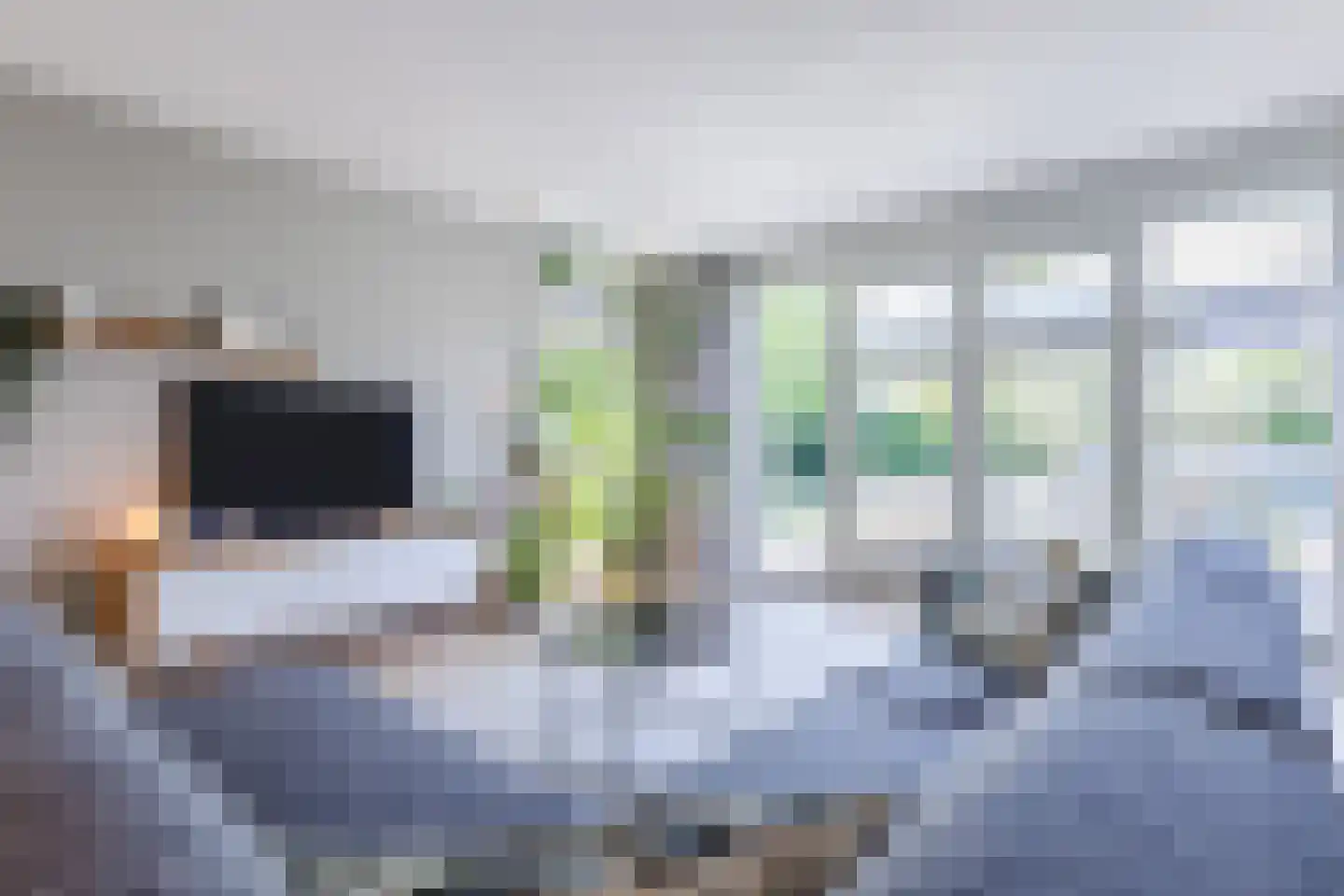 Zilveresdoorn 5 Cuijk thumbnail 9