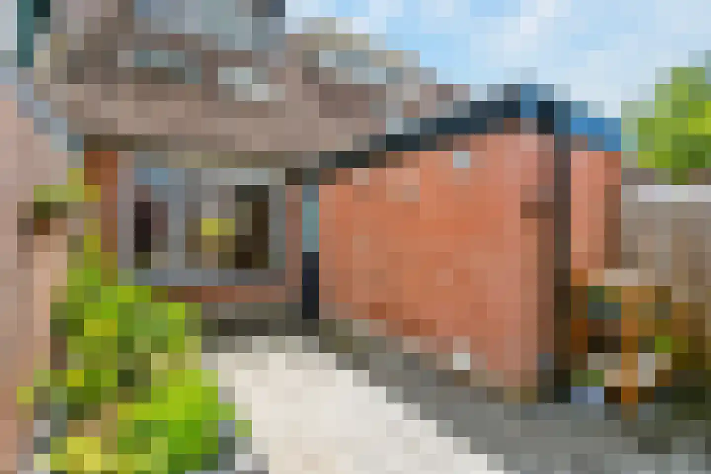 Zilverfazant 13 Nieuwegein thumbnail 10