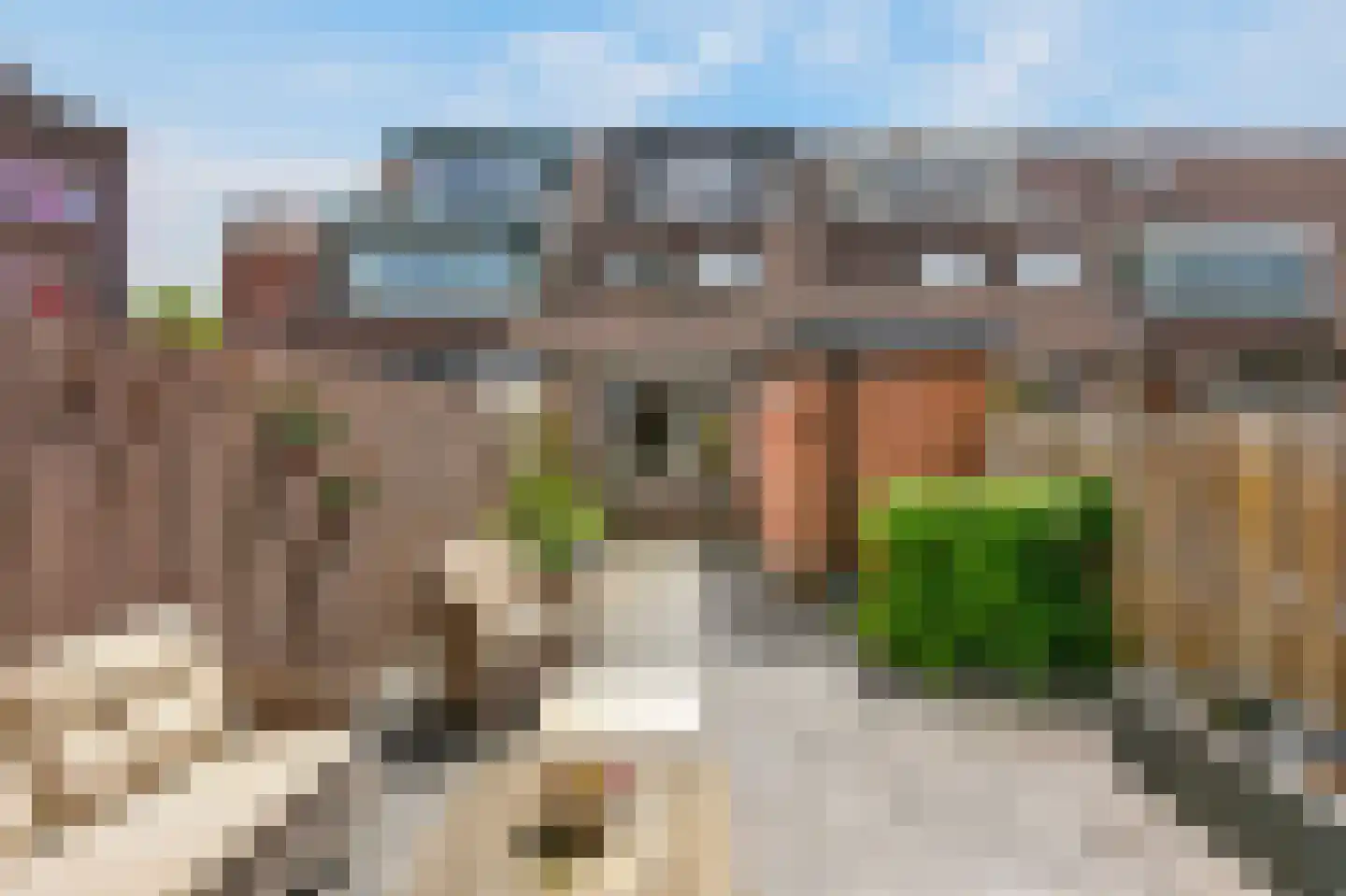 Zilverfazant 13 Nieuwegein thumbnail 12