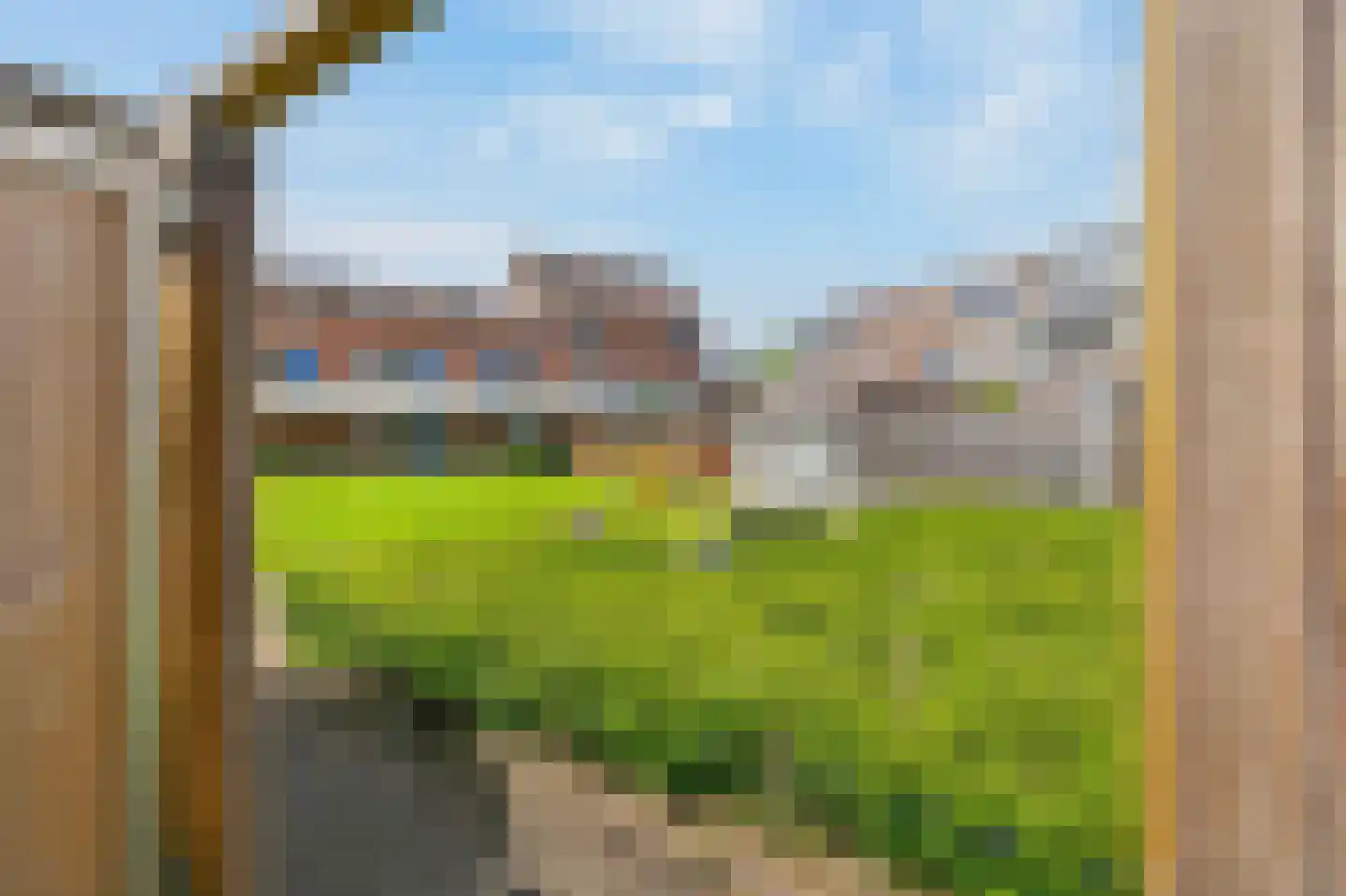 Zilverfazant 13 Nieuwegein thumbnail 13