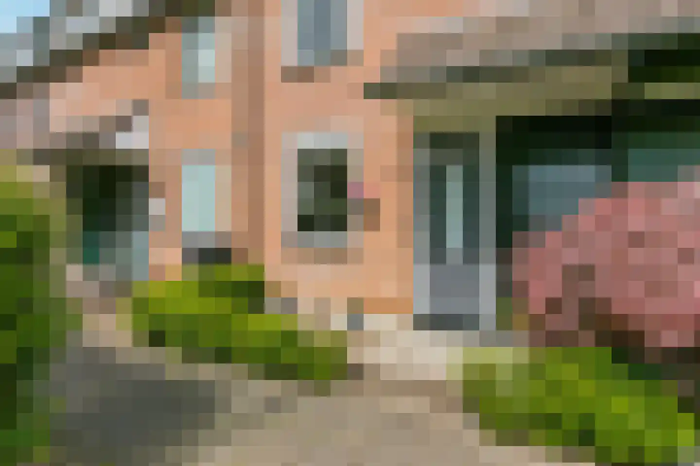 Zilverfazant 13 Nieuwegein thumbnail 14