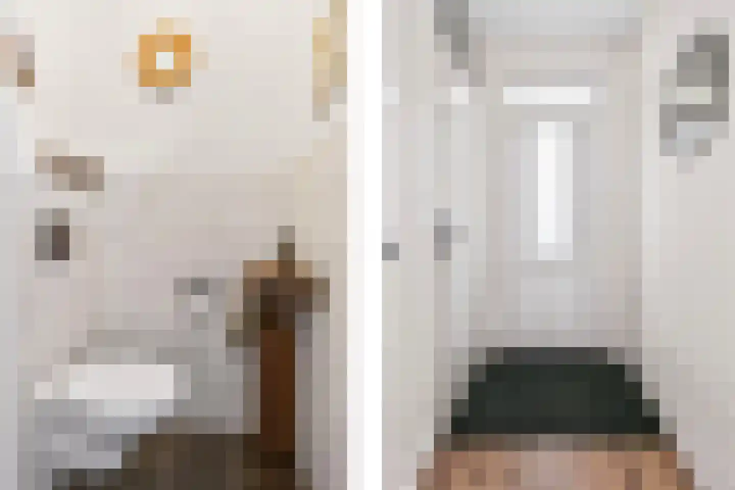 Zilverfazant 13 Nieuwegein thumbnail 15