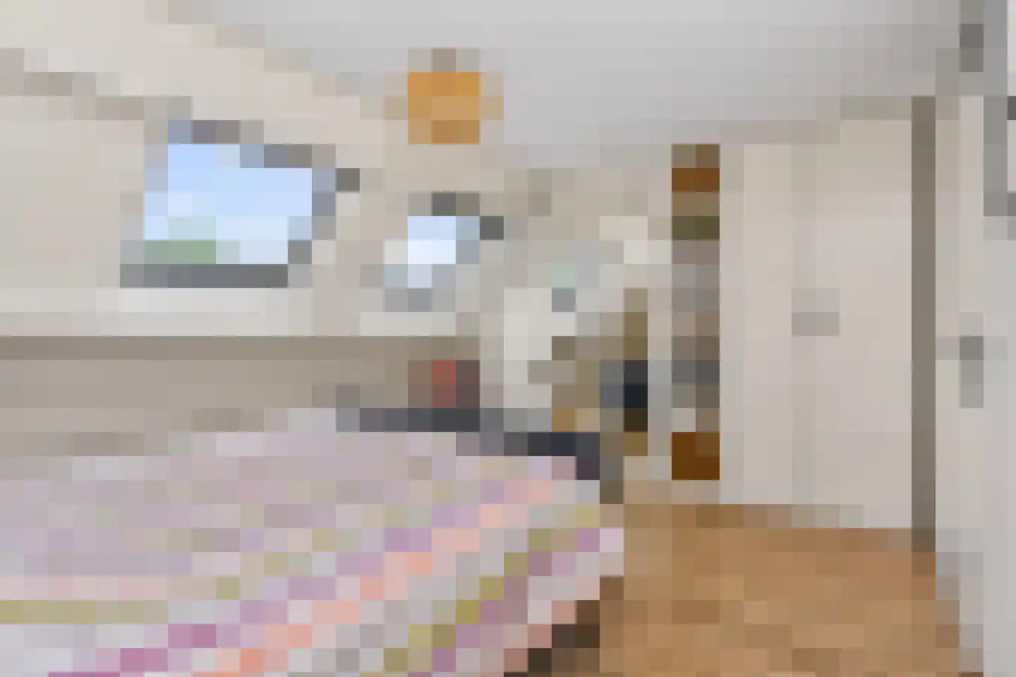 Zilverfazant 13 Nieuwegein thumbnail 19