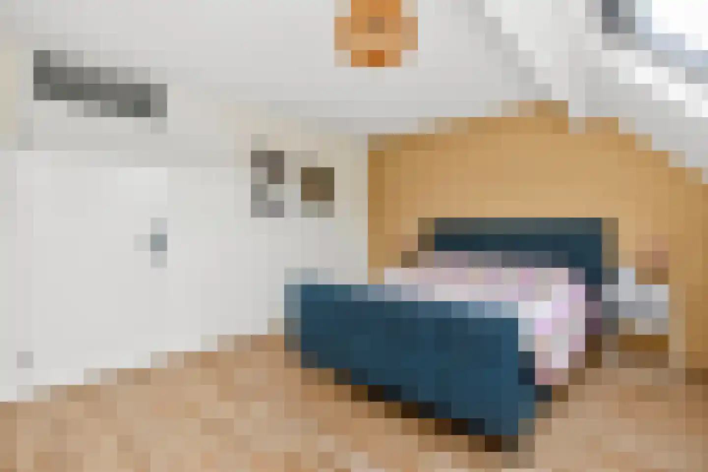 Zilverfazant 13 Nieuwegein thumbnail 20