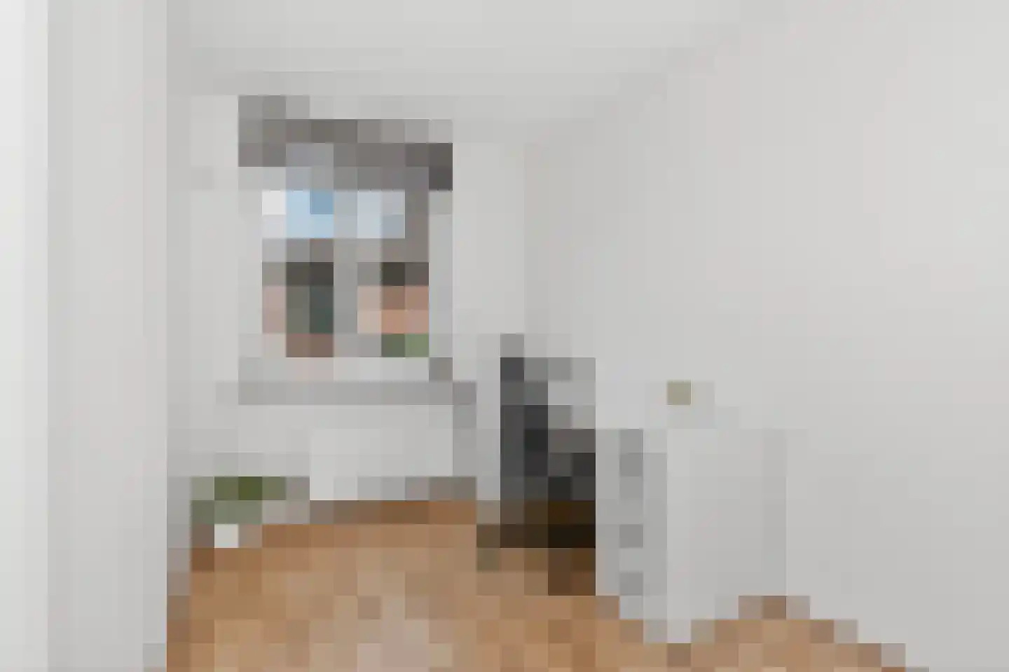 Zilverfazant 13 Nieuwegein thumbnail 21