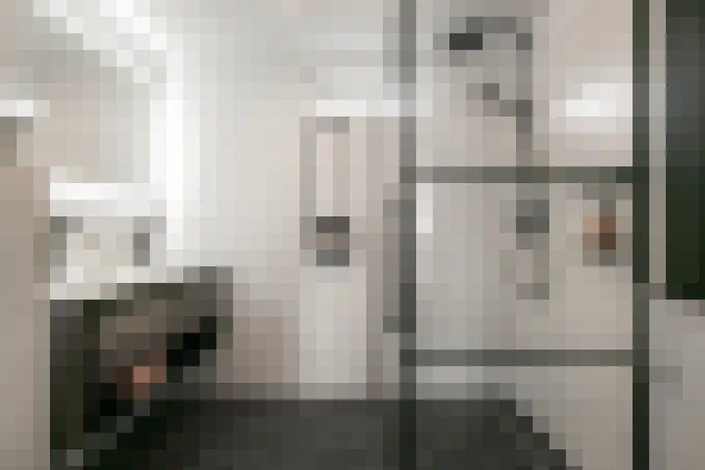 Zilverfazant 13 Nieuwegein thumbnail 23