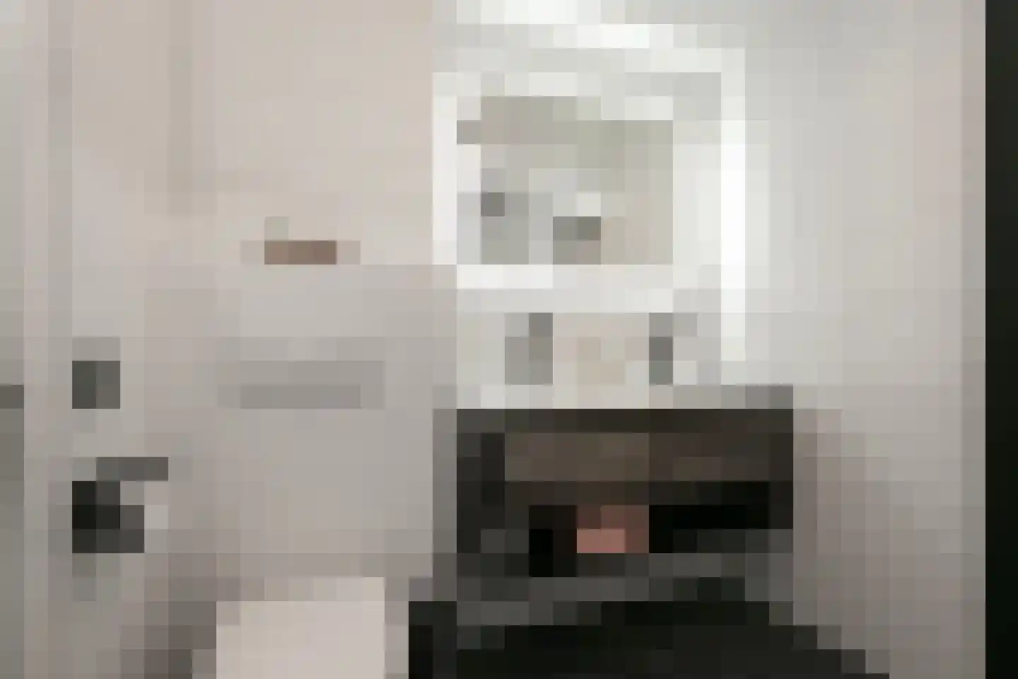 Zilverfazant 13 Nieuwegein thumbnail 24