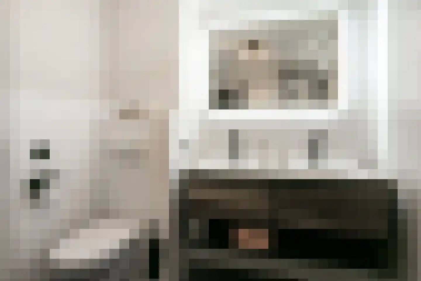 Zilverfazant 13 Nieuwegein thumbnail 25