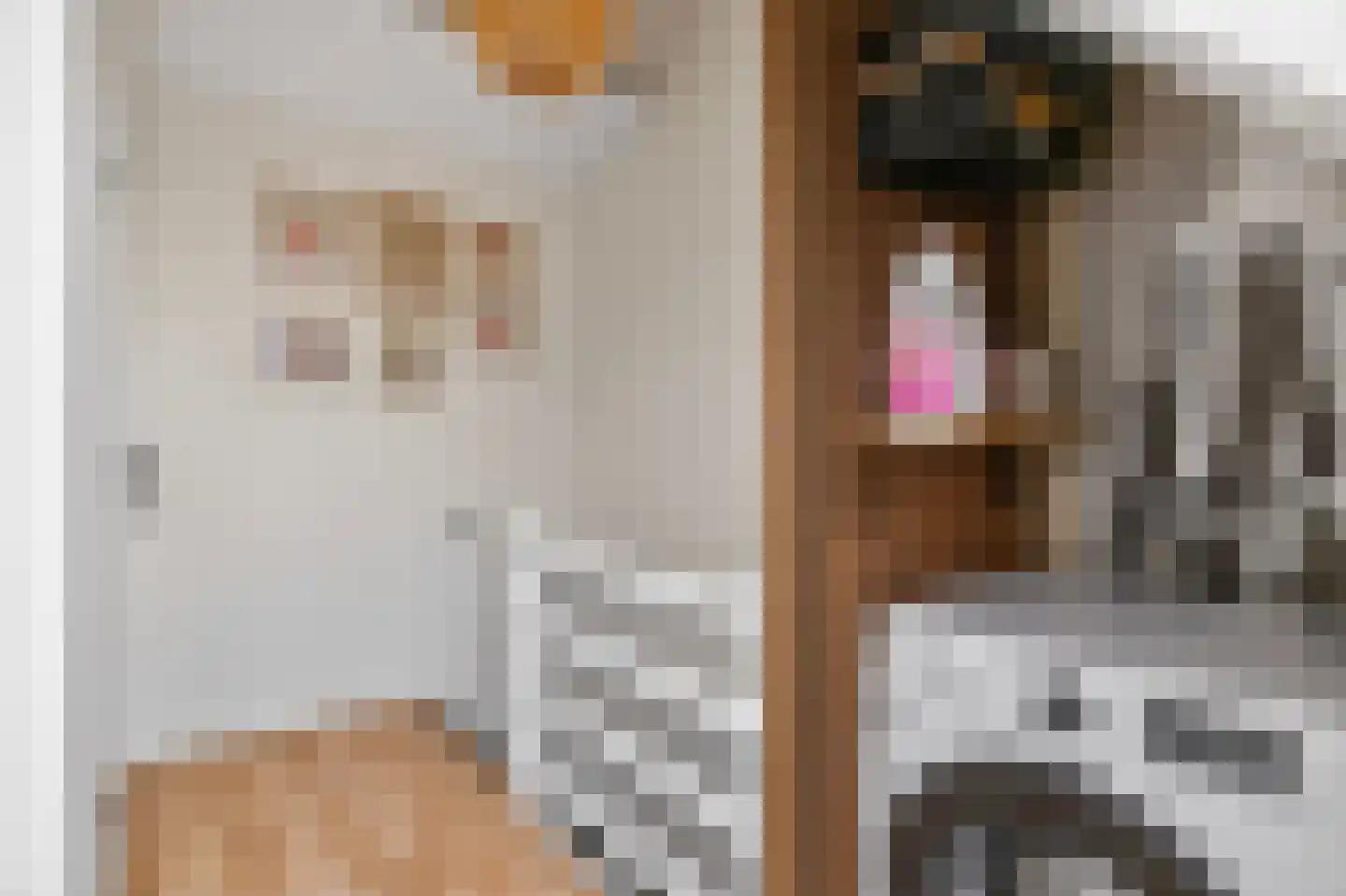 Zilverfazant 13 Nieuwegein thumbnail 26