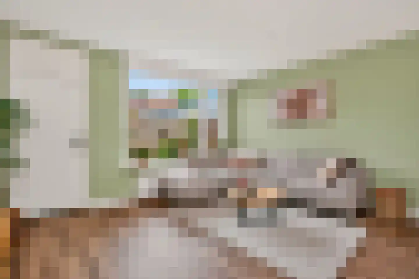 Zilverfazant 13 Nieuwegein thumbnail 4