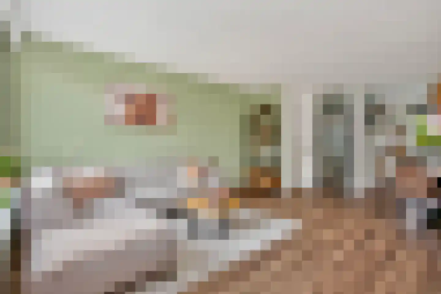 Zilverfazant 13 Nieuwegein thumbnail 5