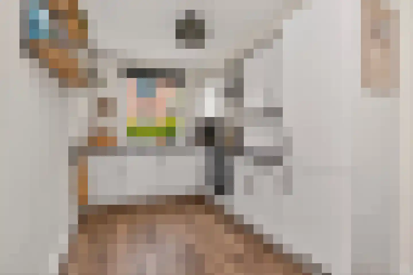 Zilverfazant 13 Nieuwegein thumbnail 6