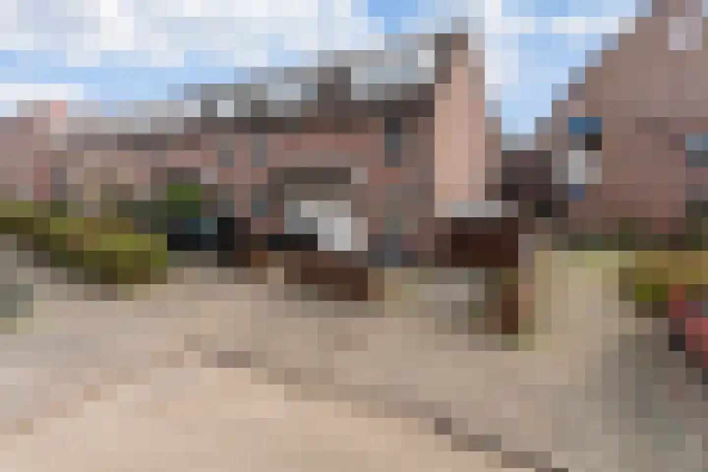Zilverfazant 2 Nieuwegein