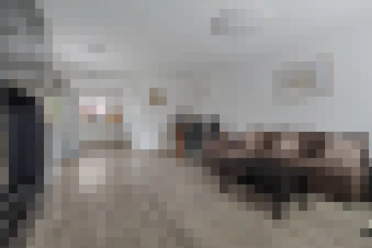 Zilverfazant 2 Nieuwegein thumbnail 10