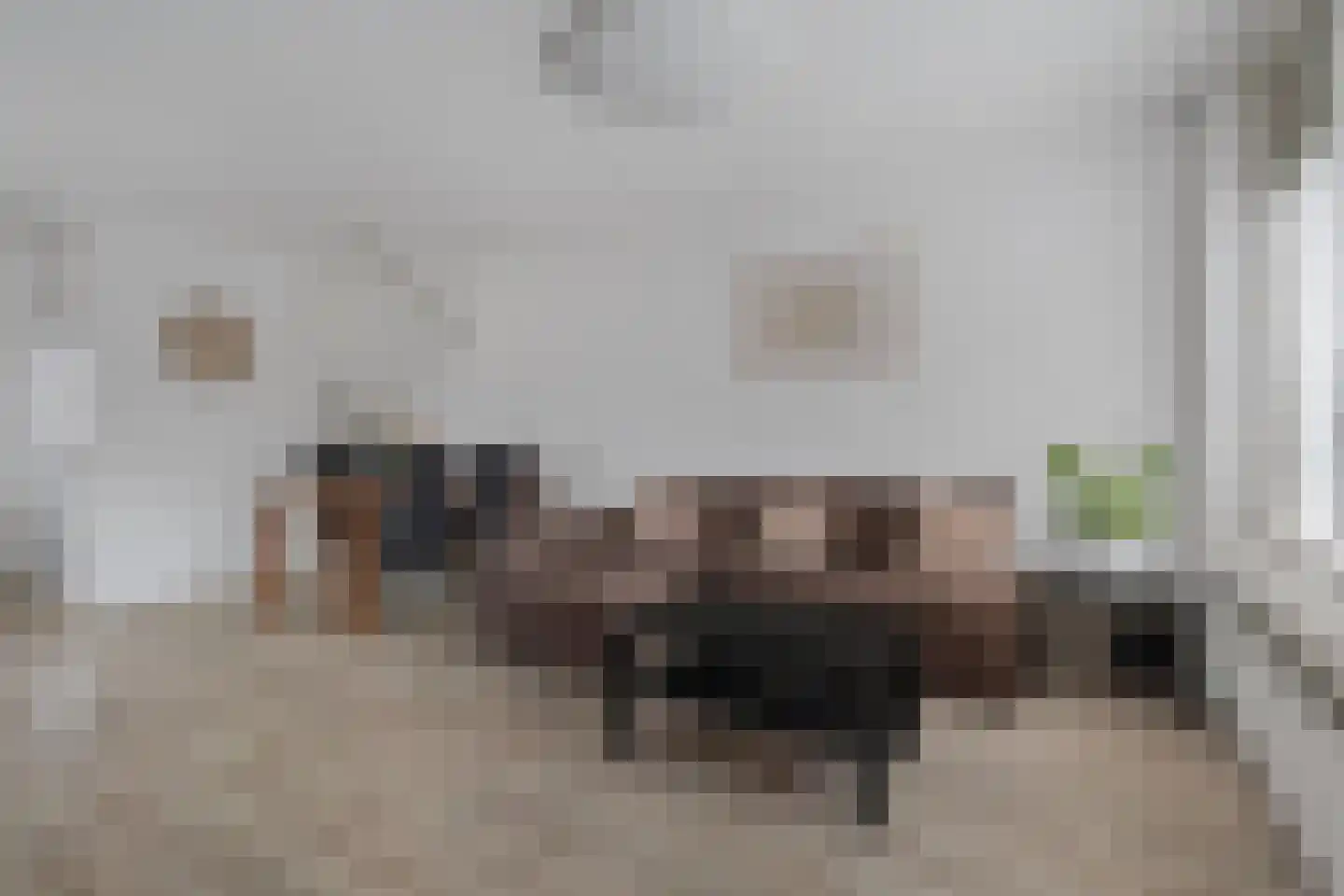 Zilverfazant 2 Nieuwegein thumbnail 11