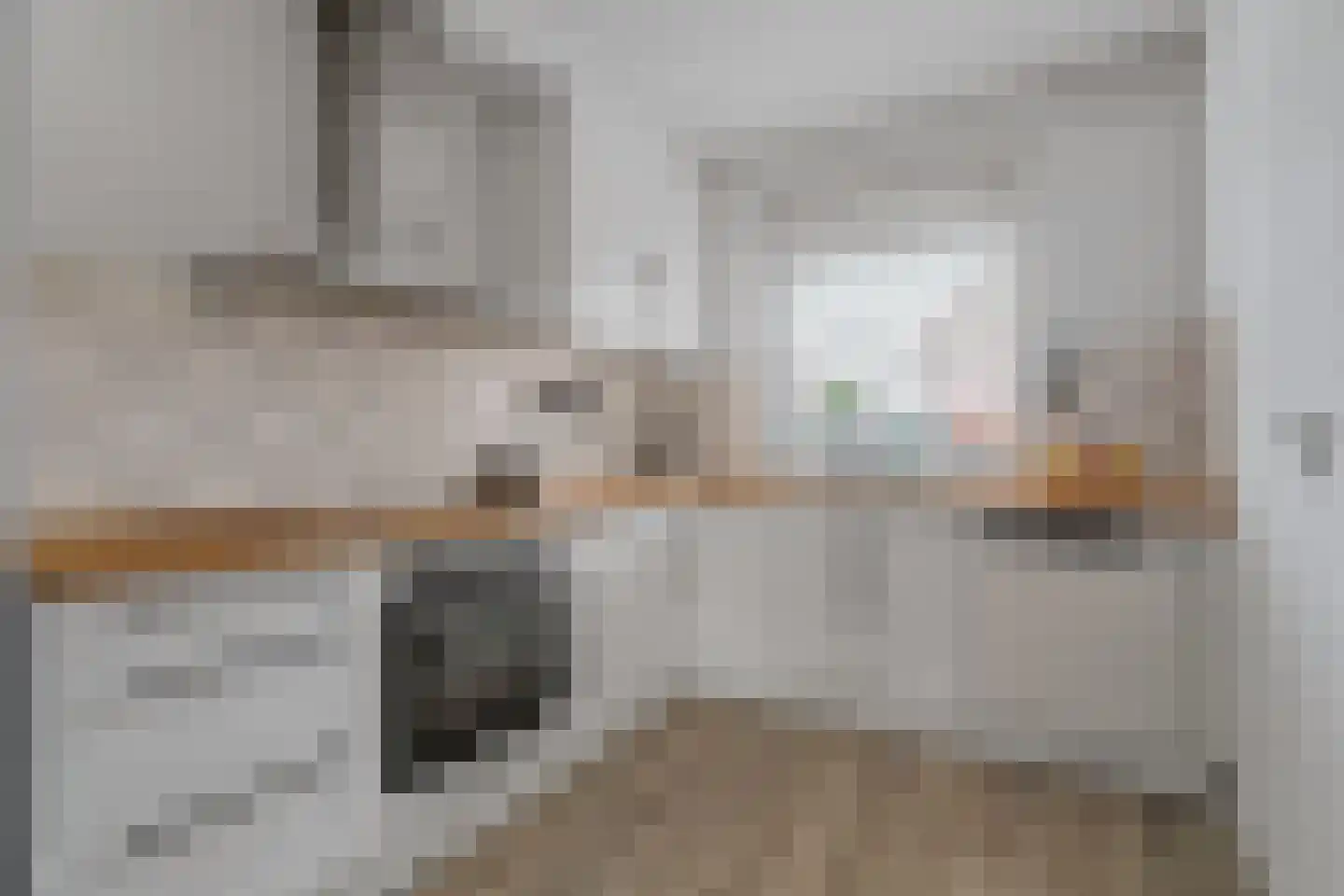 Zilverfazant 2 Nieuwegein thumbnail 14