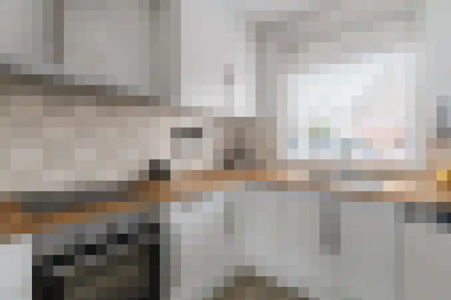 Zilverfazant 2 Nieuwegein thumbnail 15