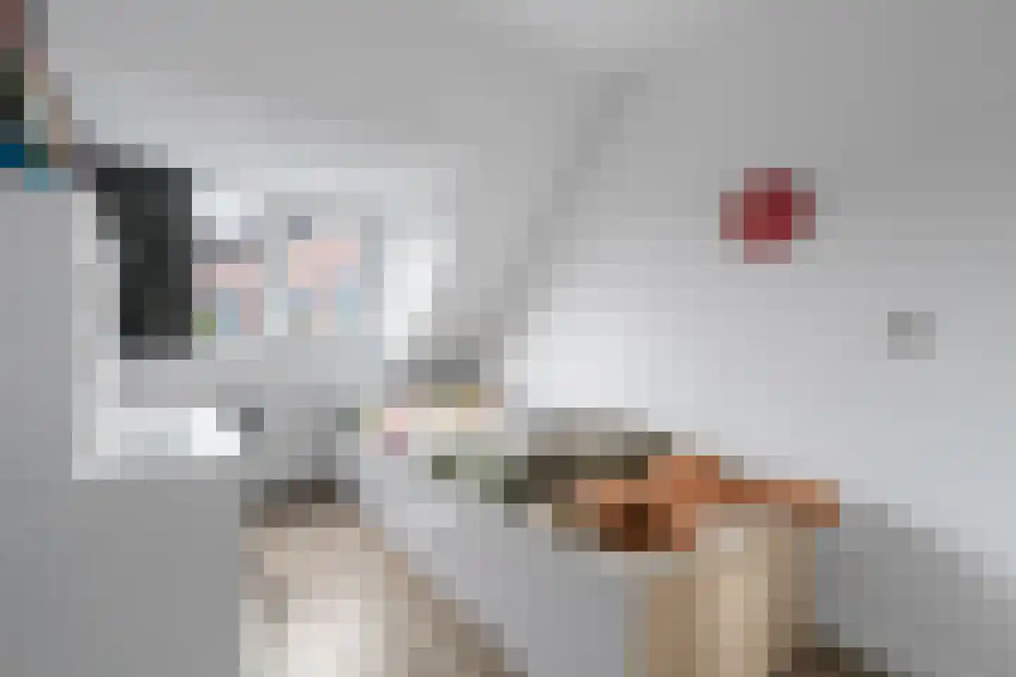Zilverfazant 2 Nieuwegein thumbnail 19