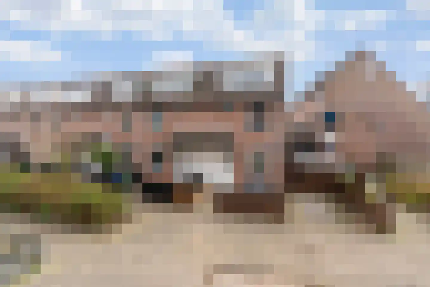 Zilverfazant 2 Nieuwegein foto 2