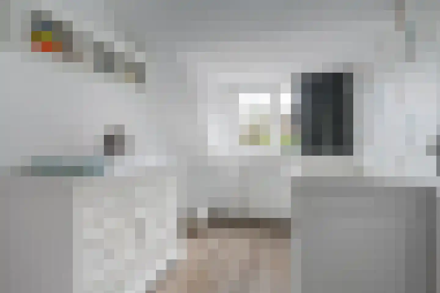 Zilverfazant 2 Nieuwegein thumbnail 23