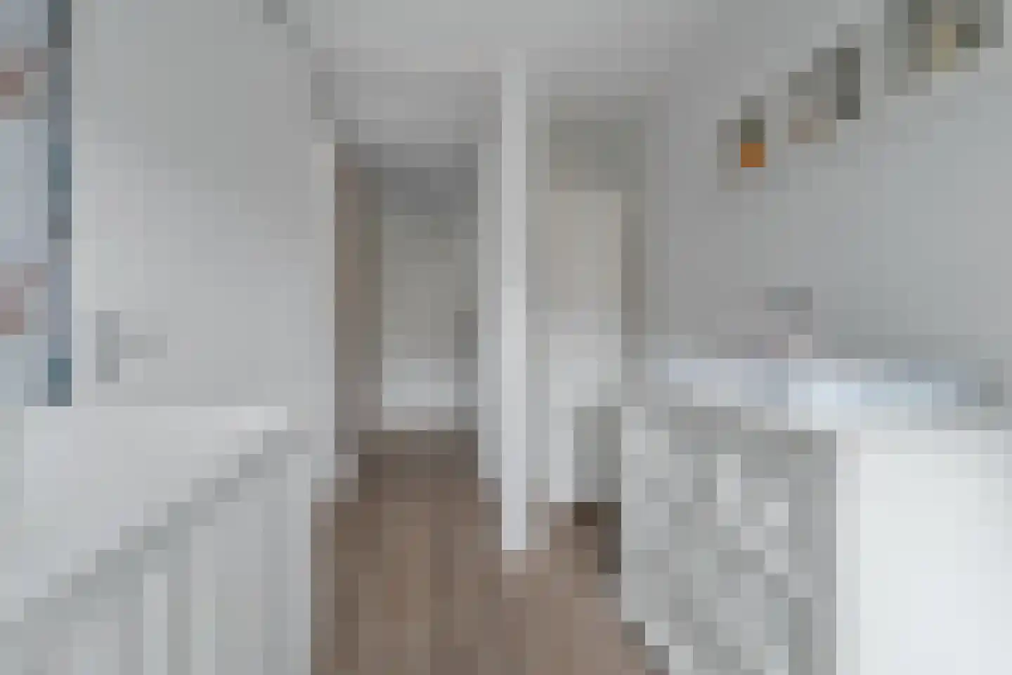 Zilverfazant 2 Nieuwegein thumbnail 24