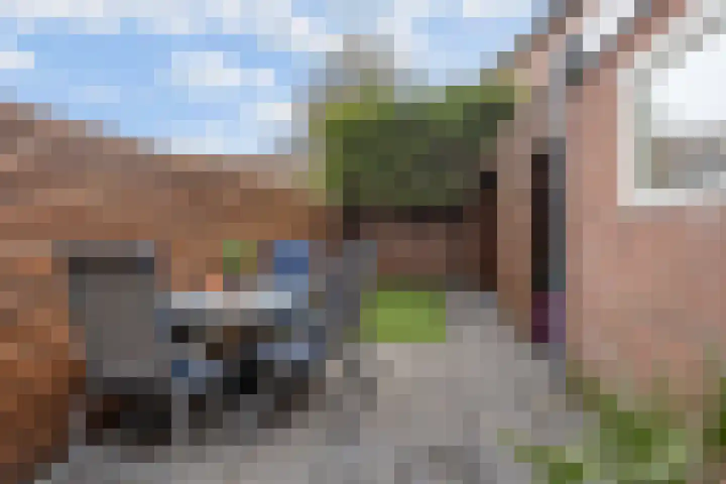 Zilverfazant 2 Nieuwegein thumbnail 32