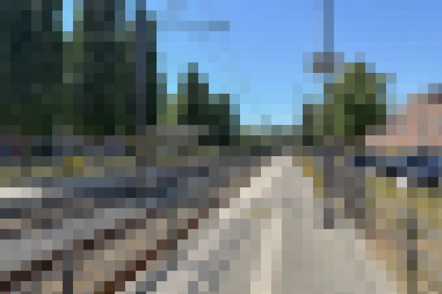 Zilverfazant 2 Nieuwegein thumbnail 35