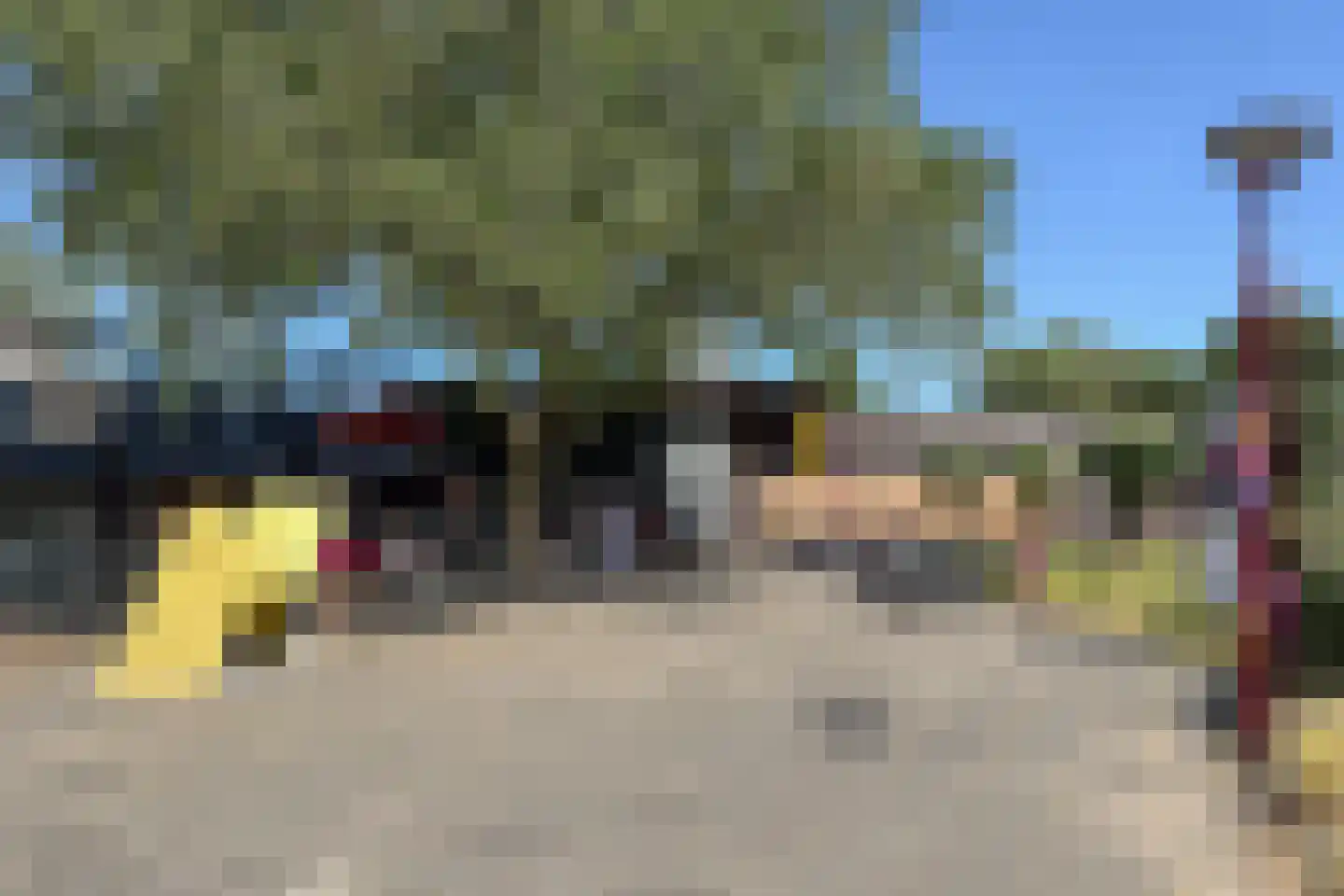 Zilverfazant 2 Nieuwegein thumbnail 36