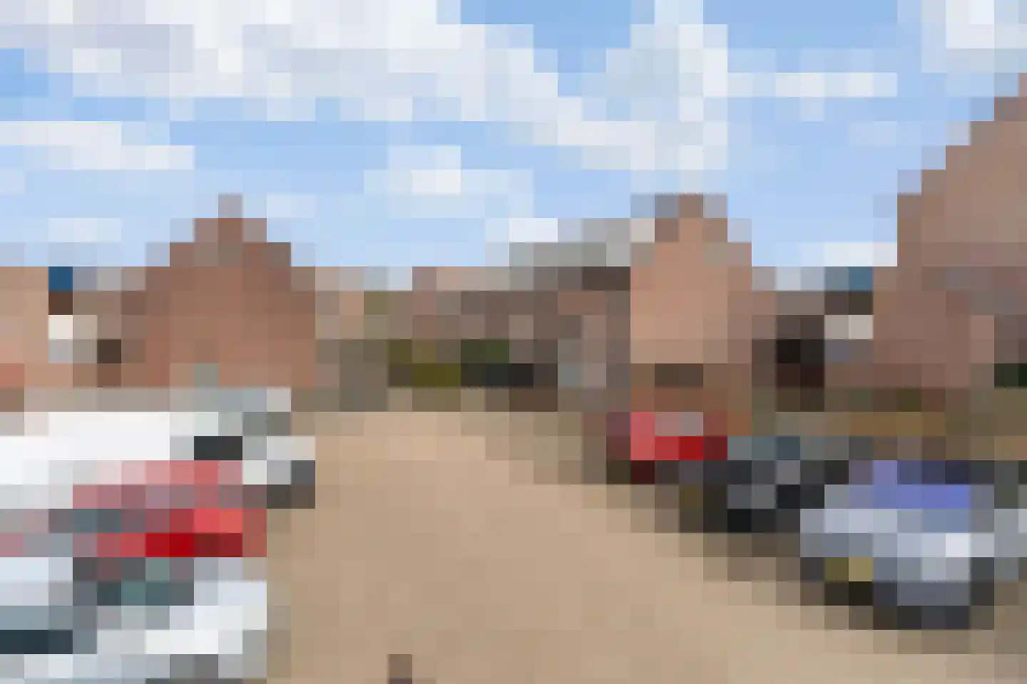 Zilverfazant 2 Nieuwegein thumbnail 37