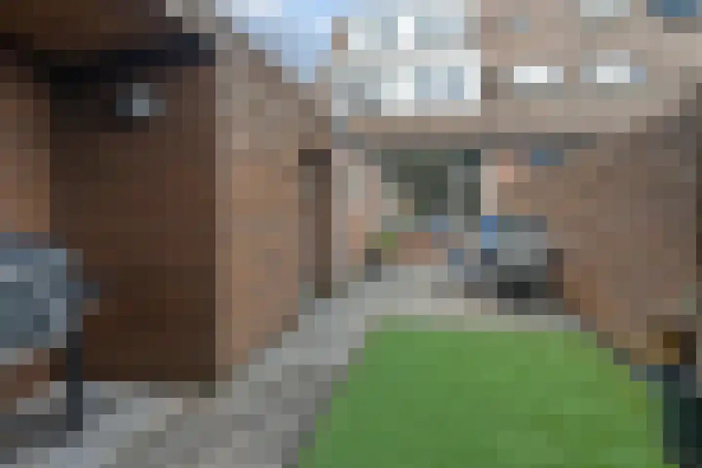 Zilverfazant 2 Nieuwegein thumbnail 4