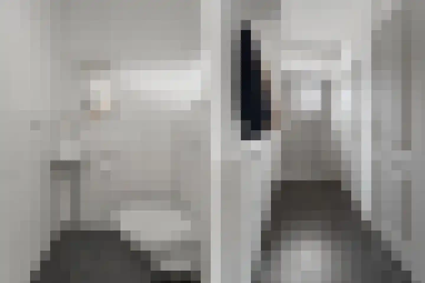 Zilverfazant 2 Nieuwegein thumbnail 6