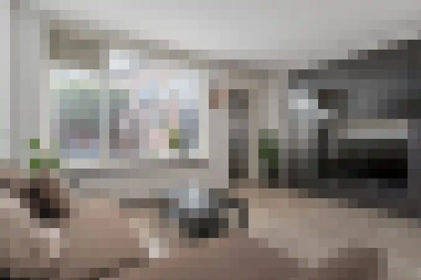 Zilverfazant 2 Nieuwegein thumbnail 8